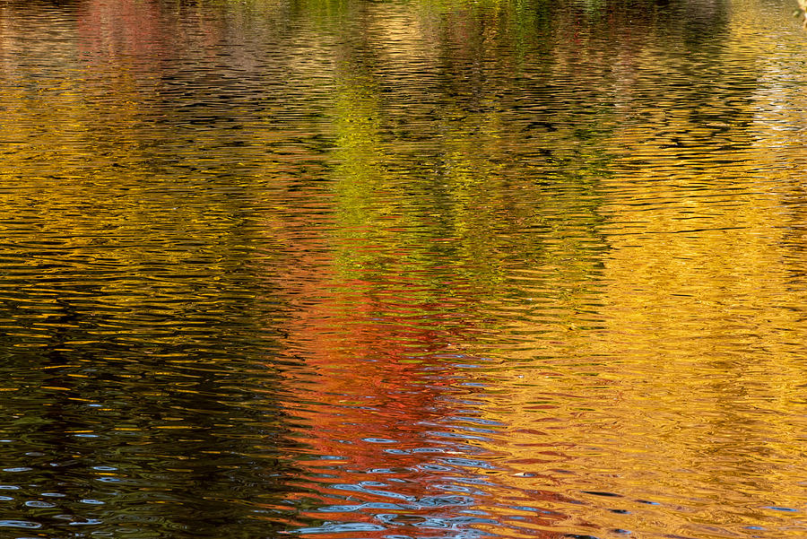 Lake reflections of Autumn Photograph by Alessandra RC