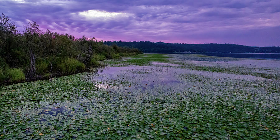Lake Sammamish Sunrise Photograph by Larey McDaniel