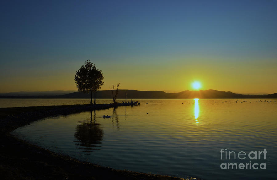 Lake scape with silhouettes of natural pier and birds Photograph by ...