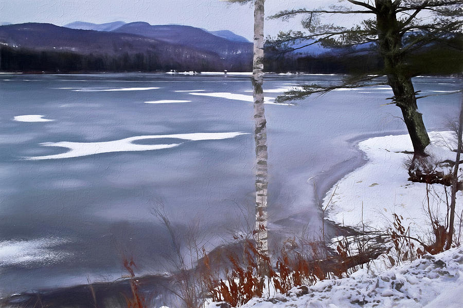 Lake Scene in Winter Photograph by Nancy De Flon