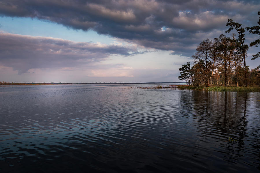 Lake Seminole At Three Rivers Photograph by Debra Forand