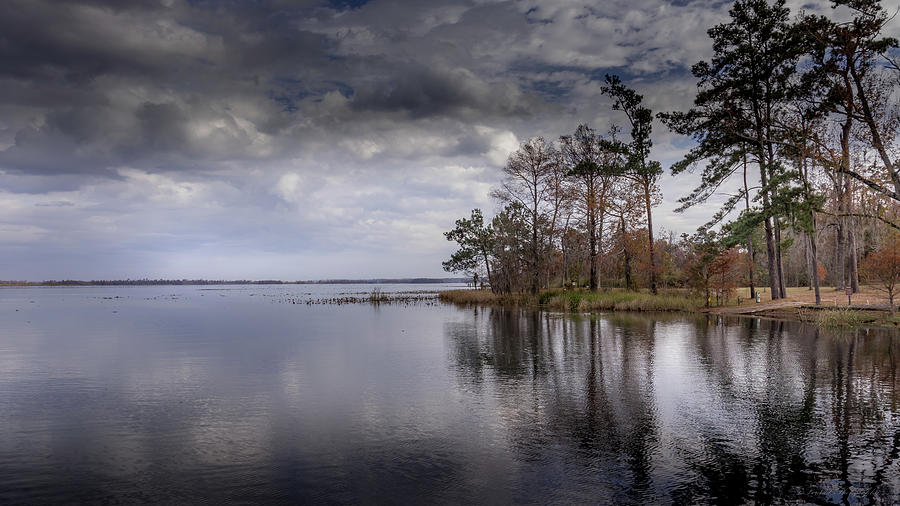Lake Seminole Three Rivers State Park Photograph by Debra Forand