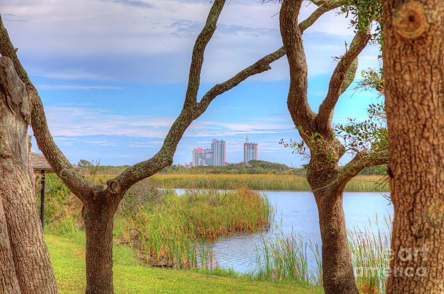 Skyline Photograph - Lake Shelby Through the Trees by Larry Braun