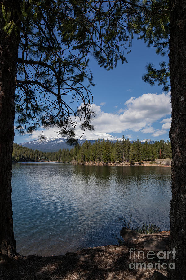 Lake Siskiyou Framed Photograph by Suzanne Luft