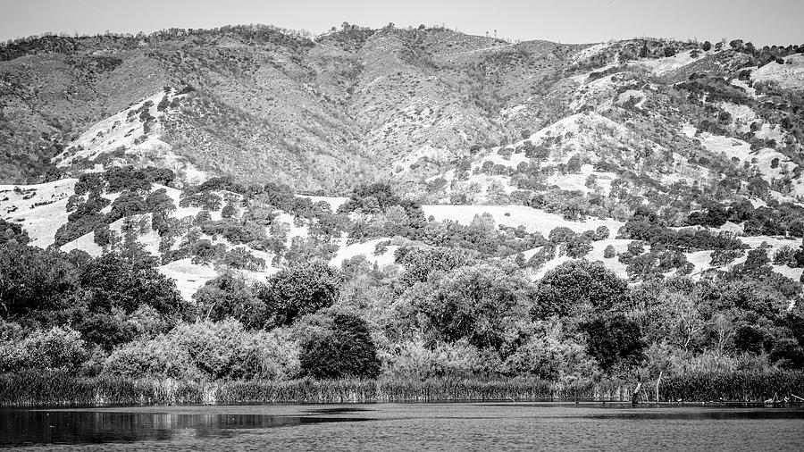 Lake Solano Foothills California Photograph by Mike Fusaro