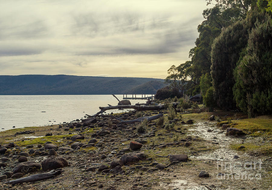 Lake St. Clair, Tasmania 2 Photograph by Elaine Teague