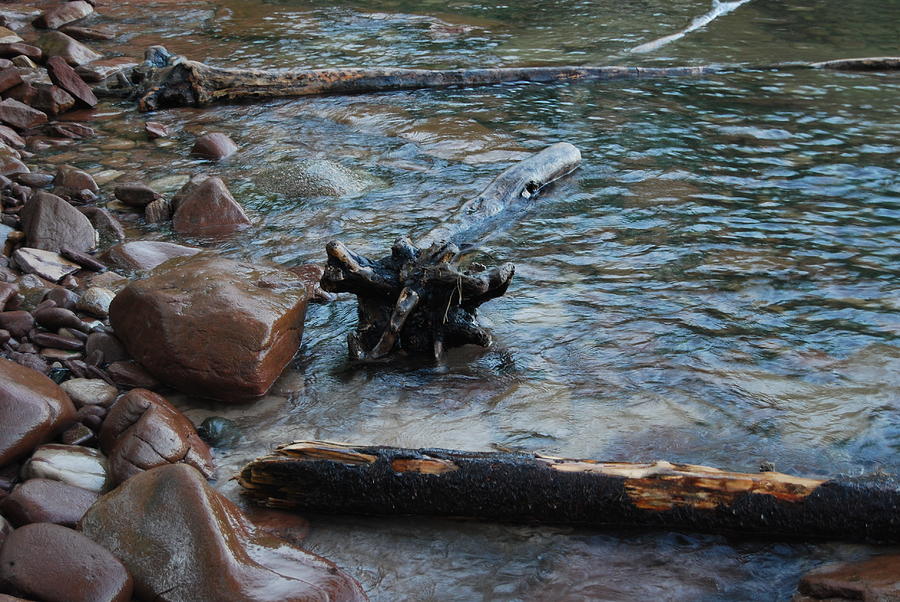 Lake Superior Driftwood Photograph by David Jacobi - Fine Art America