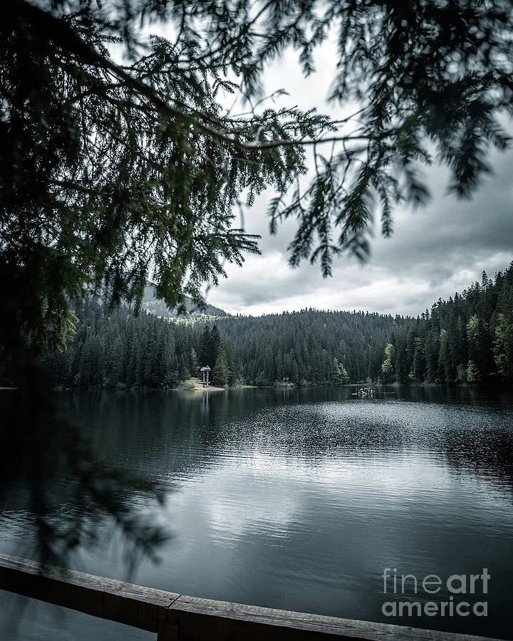 Lake Synevir Photograph by Julia Bernardes