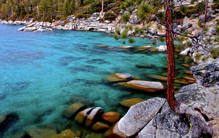 Lake Tahoe Azure Blue Photograph by Geoff McGilvray