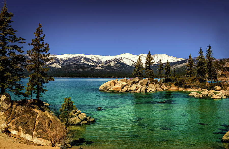 Lake Tahoe Cove Photograph by Maria Coulson