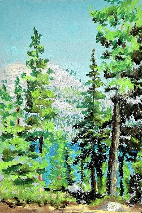 Lake Tahoe, Emerald Bay Pastel Pastel by Masha Batkova