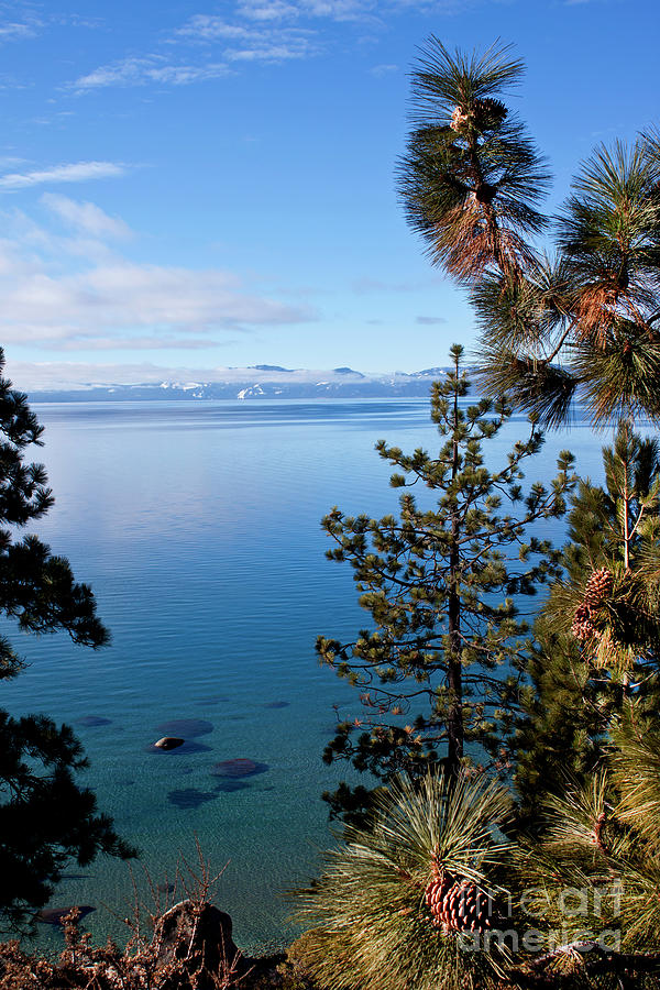 Lake Tahoe Photograph by Ivete Basso Photography