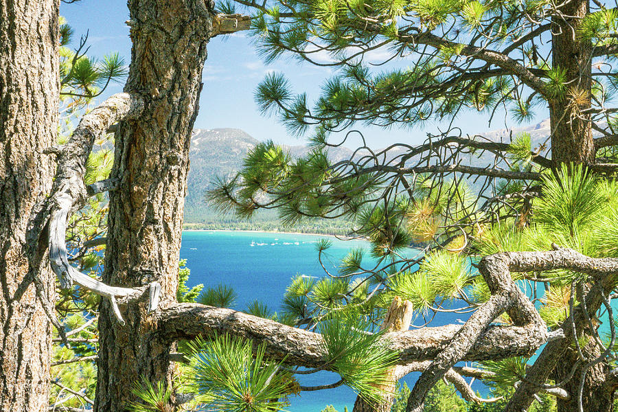 Lake Tahoe  Photograph by Peggy McCormick