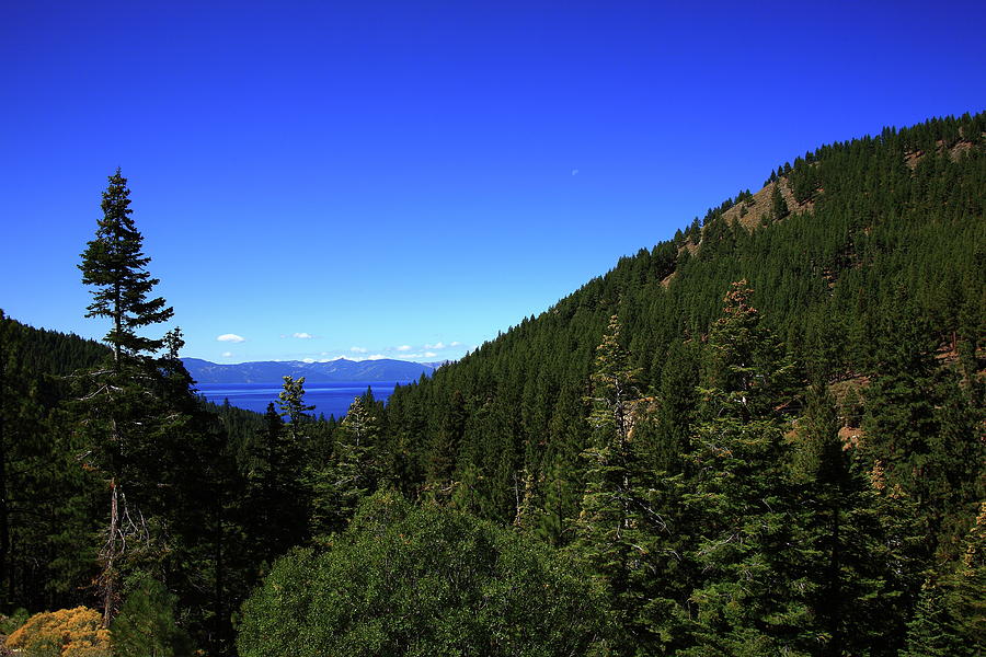 Lake Tahoe Thru Pine Trees 2008 #3 Photograph by Frank Romeo