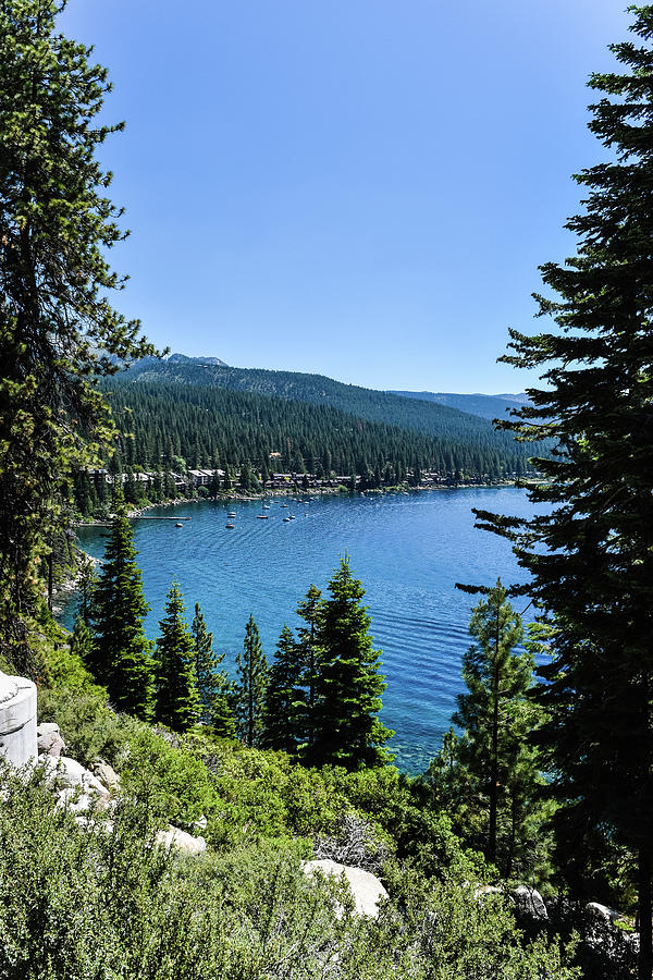 Lake Tahoe view Photograph by Vinicius Rocha - Fine Art America