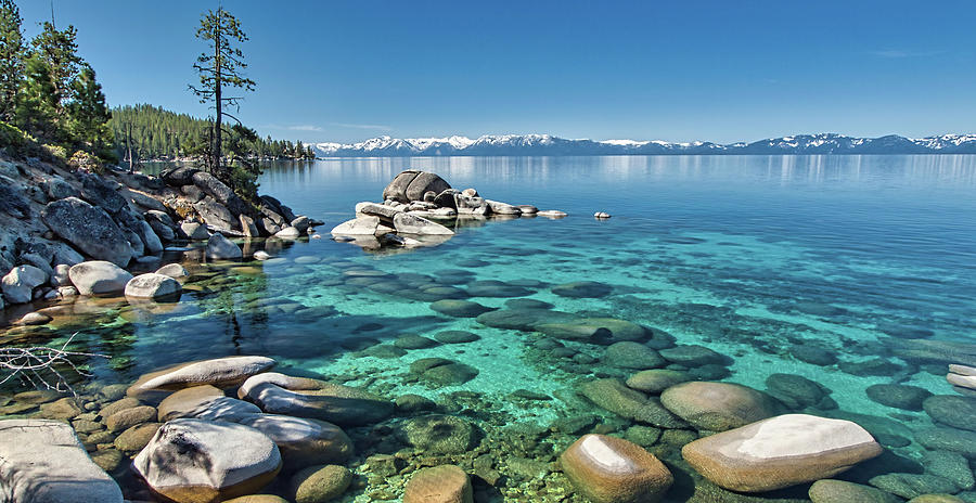 Lake Tahoe Waterscape Photograph by Martin Gollery
