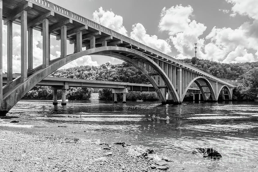 Lake Taneycomo Bridges And Geese Grayscale Photograph by Jennifer White