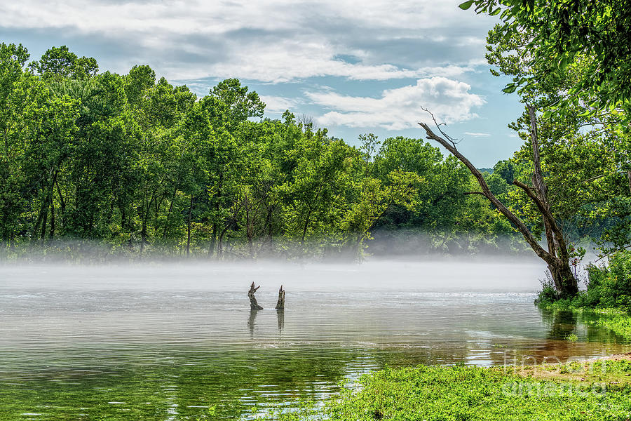 Lake Taneycomo Summer Fog Photograph by Jennifer White