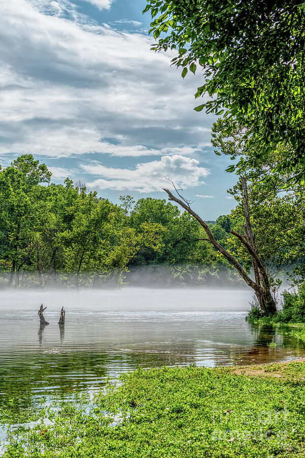 Lake Taneycomo Summer Fog Vertical Photograph by Jennifer White