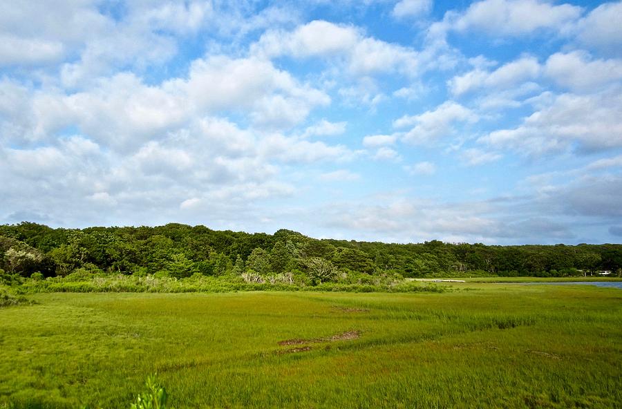 Lake Tashmoo Wetlands Photograph by Susan McVicar - Fine Art America