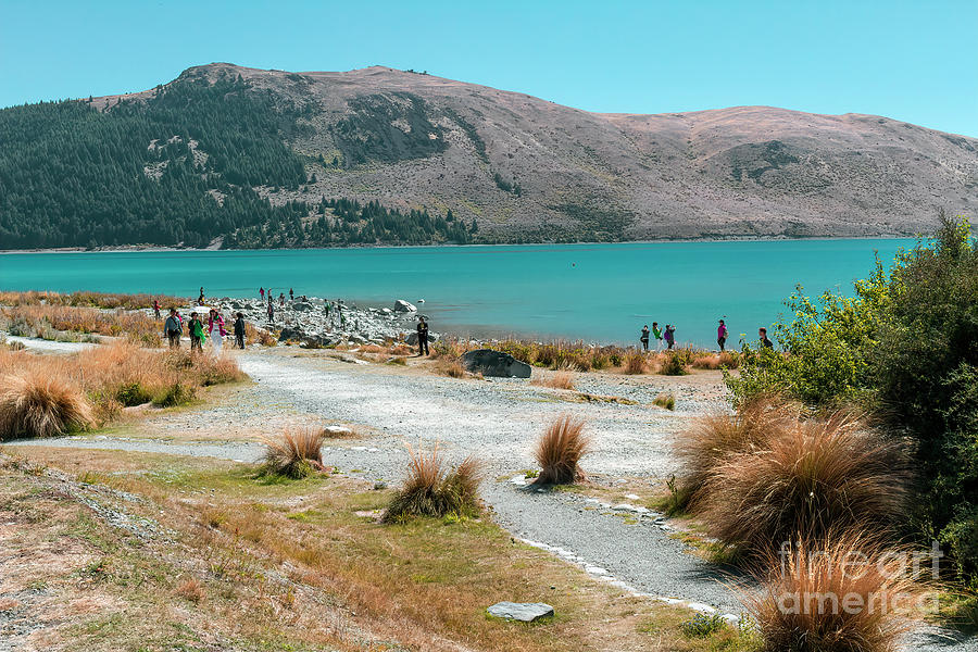 Lake Tekapo, New Zealand 5 Photograph by Elaine Teague