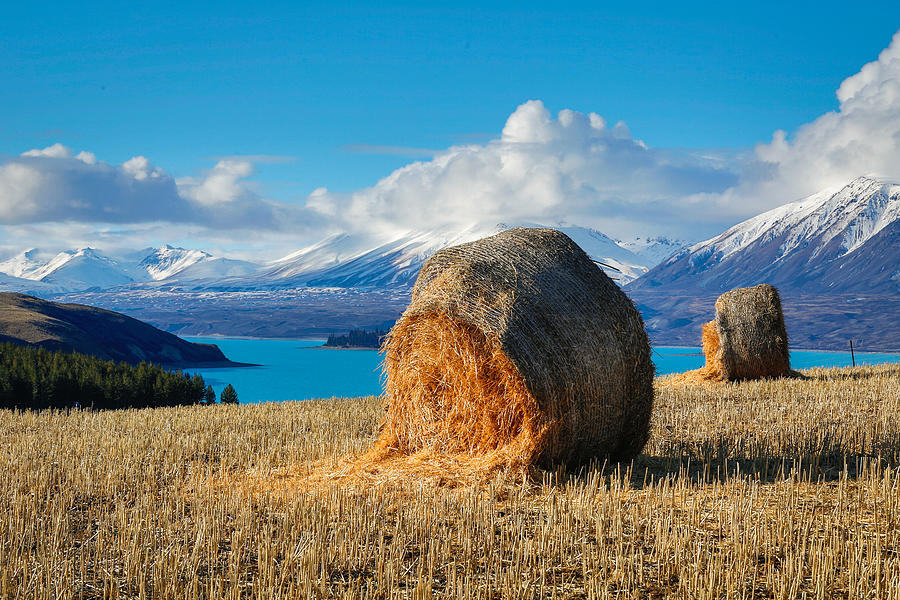 Lake Tekapo with hay bales and mountain background Photograph by Lingxiao Xie