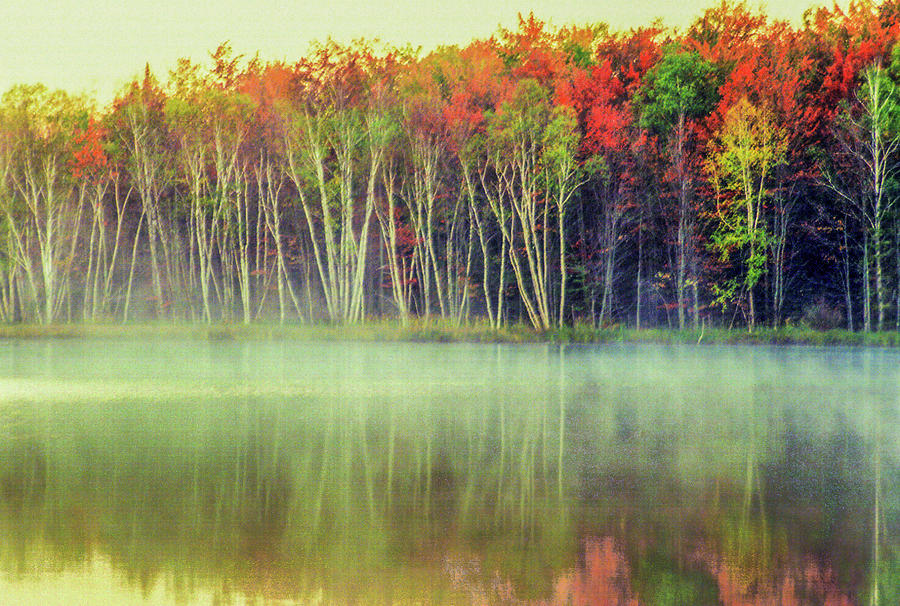 Lake Thornton in the UP_LS064 Photograph by James C Richardson