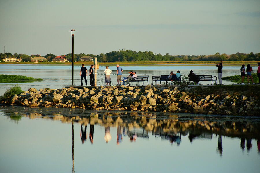 Lake Tohopekaliga Photograph by Christopher Mercer - Pixels