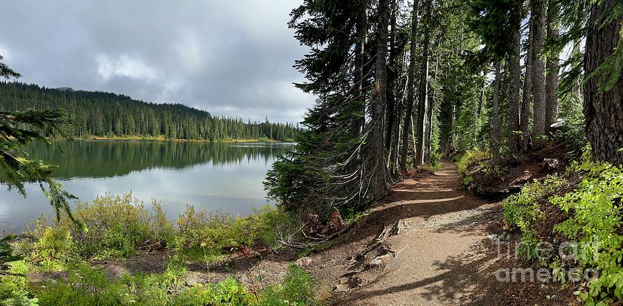 Lake Trail Panorama Photograph by Carol Groenen