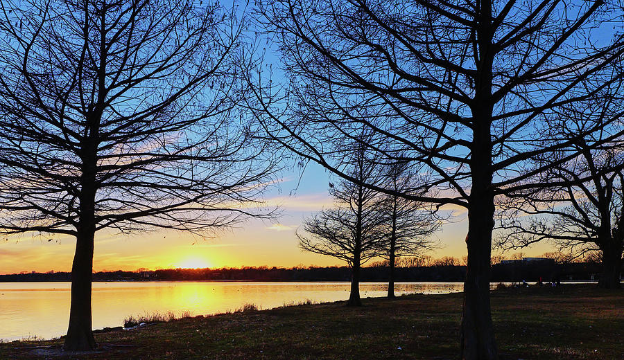 Lake Trees Sunset 011520 Photograph by Rospotte Photography