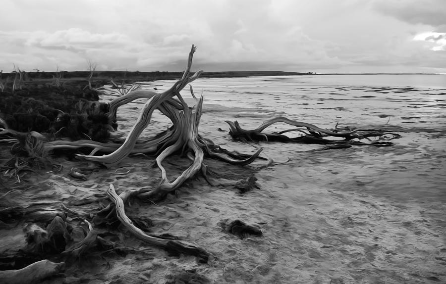 Lake Tyrrell Dead Wood Photograph by Yolanda Caporn