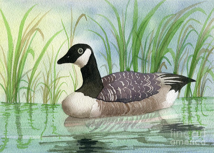 Lake Visitor Painting by Norma Appleton