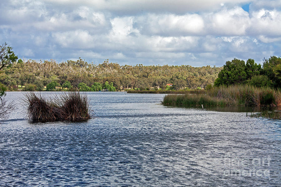 Lake Wagardu, Yanchep, Western Australia Photograph by Elaine Teague
