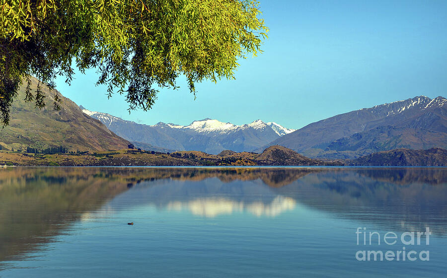 Lake Wanaka, New Zealand Photograph by Delphimages Photo Creations