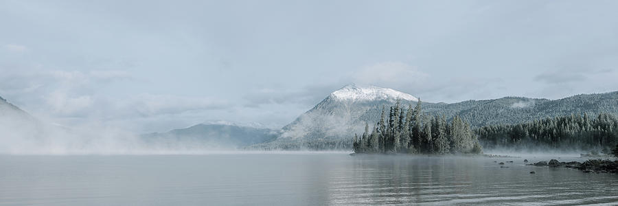 Tree Photograph - Lake Wenatchee Morning by Don Schwartz