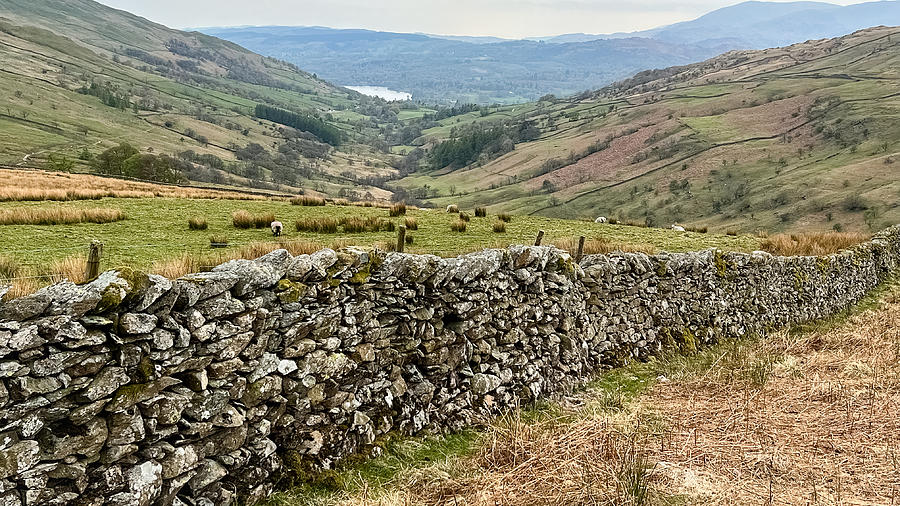 Lakes District Photograph by Flat Owl Photo Lakes District Photograph by Flat Owl Photo
