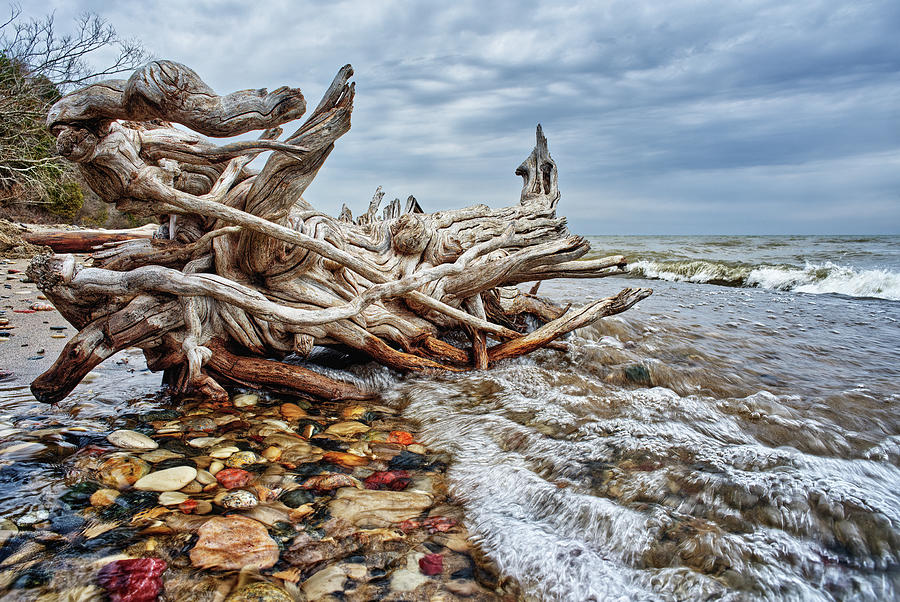 LakeScape #2 of 2-  Driftwood on Lake Michigan shoreline near Sheboygan WI at Hika Bay Photograph by Peter Herman