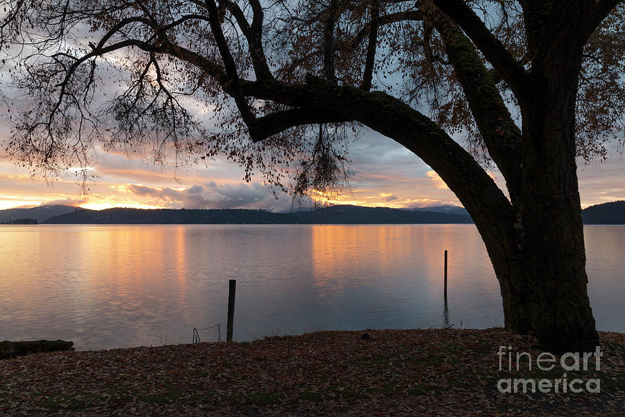 Lakeshore Evening Photograph by Idaho Scenic Images Linda Lantzy