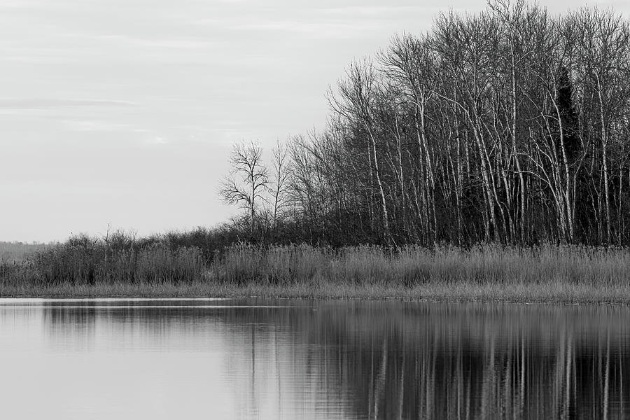 Lakeshore Reflection - Bw Photograph