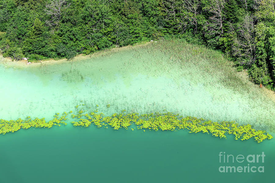 Lakeside aerial view, nature abstract landscape Photograph by Delphimages Photo Creations