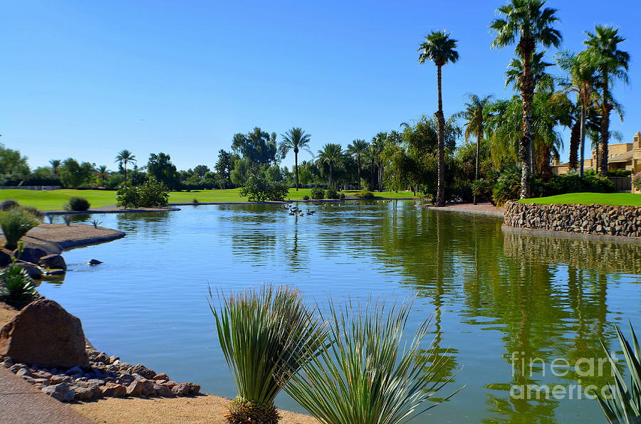 Lakeside At Phoenician Golf Course Scottsdale Arizona Photograph by Mary Deal