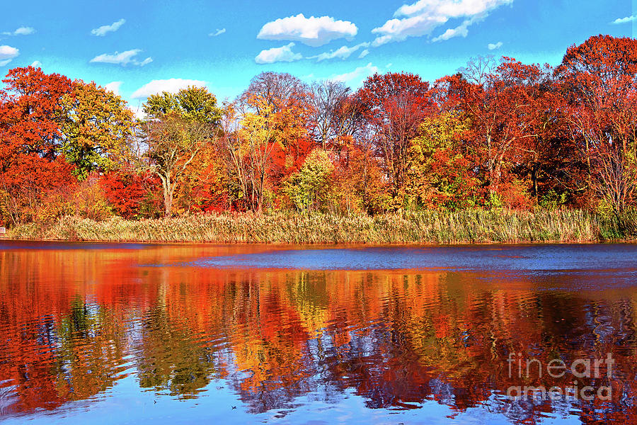 Lakeside Autumn Bliss Photograph by Regina Geoghan