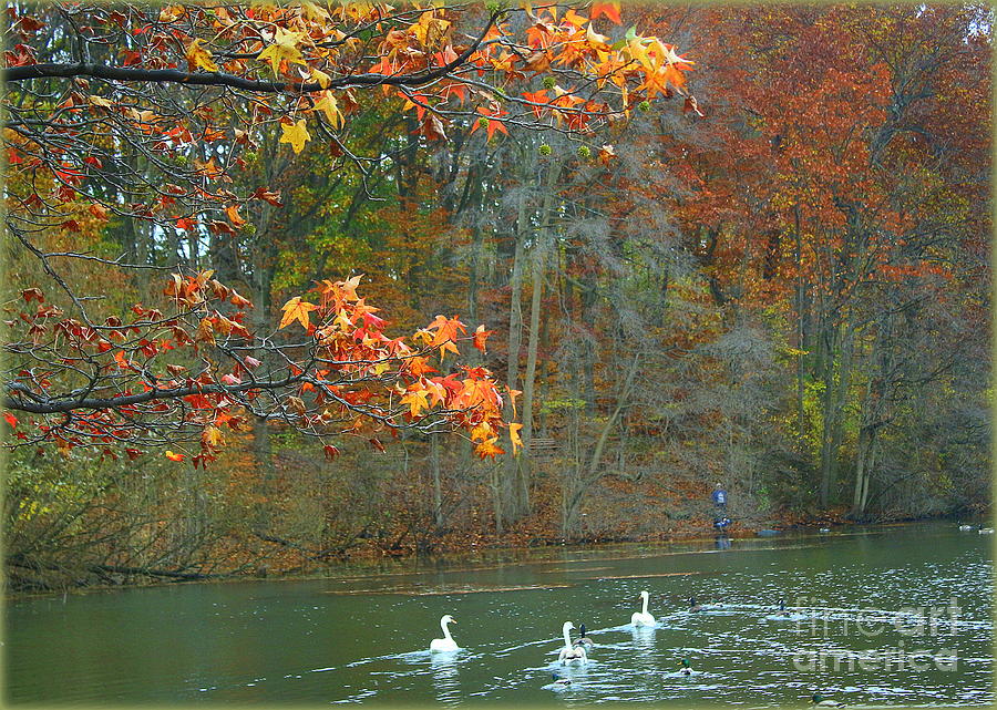 Lakeside Beauty on an Autumn Day Photograph by Dora Sofia Caputo