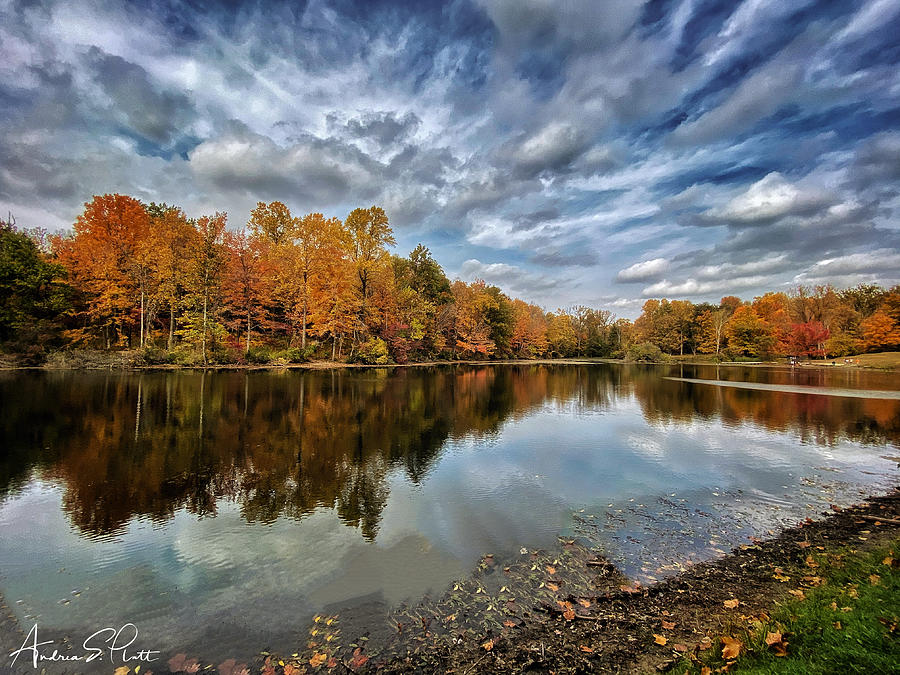 Lakeside Colors Photograph by Andrea Platt