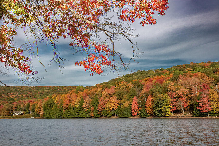 Lakeside Fall Colors Photograph by Rich Isaacman