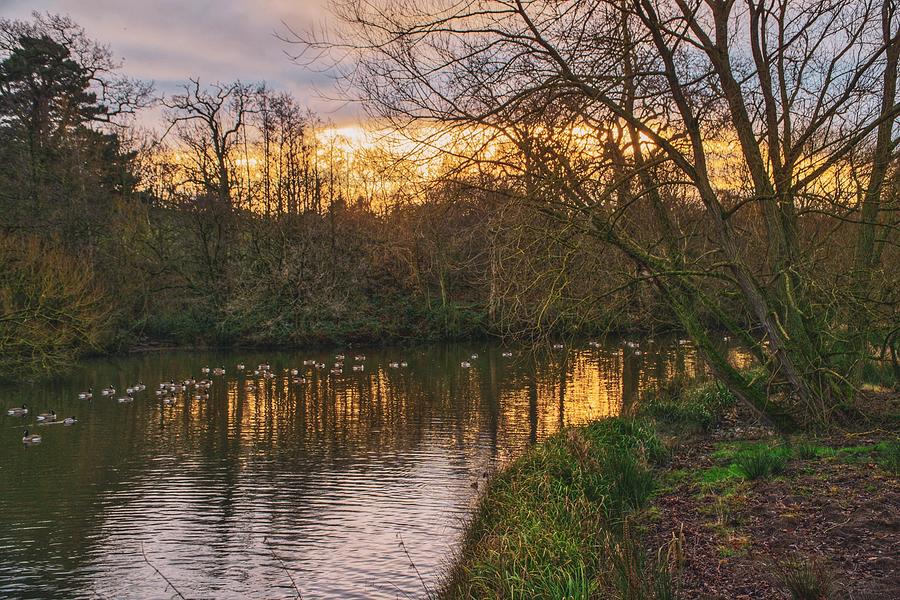 Lakeside Glow Photograph by Alison Chambers - Pixels