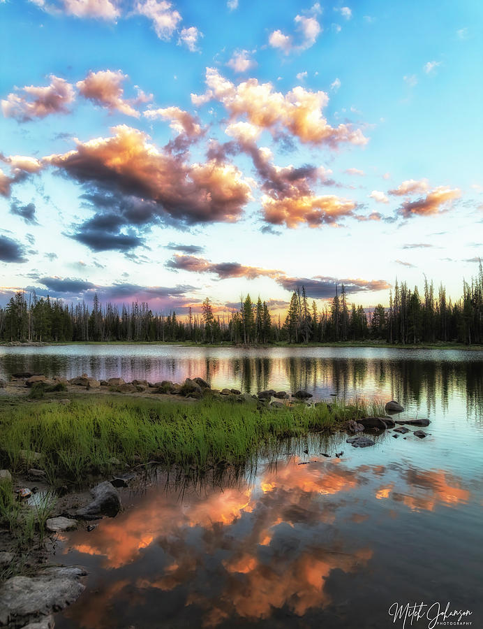 Lakeside Grass Photograph by Mitch Johanson - Fine Art America