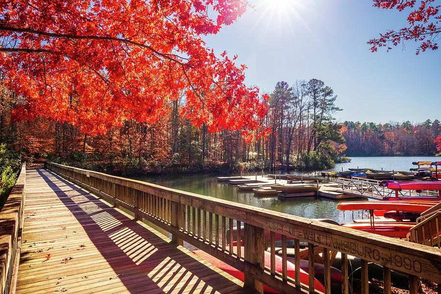 Lakeside in Autumn Photograph by Rachel Morrison