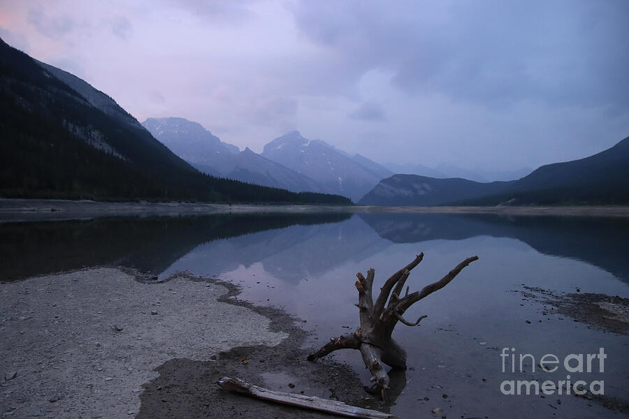 Lake Photograph - Lakeside Reflection by Deborah Kletch