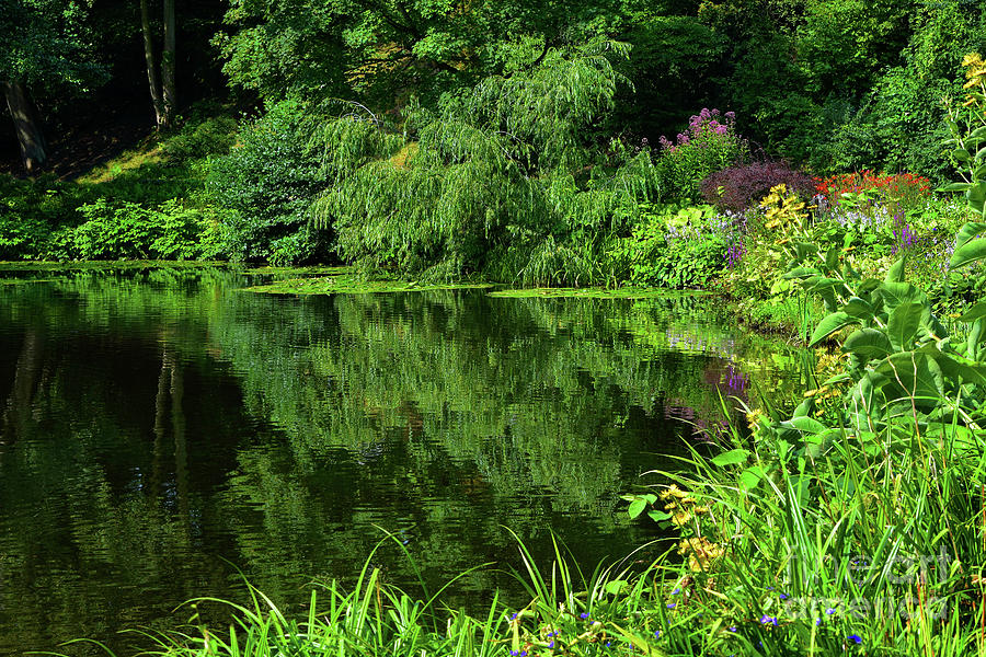 Lakeside Reflections Photograph by Yvonne Johnstone